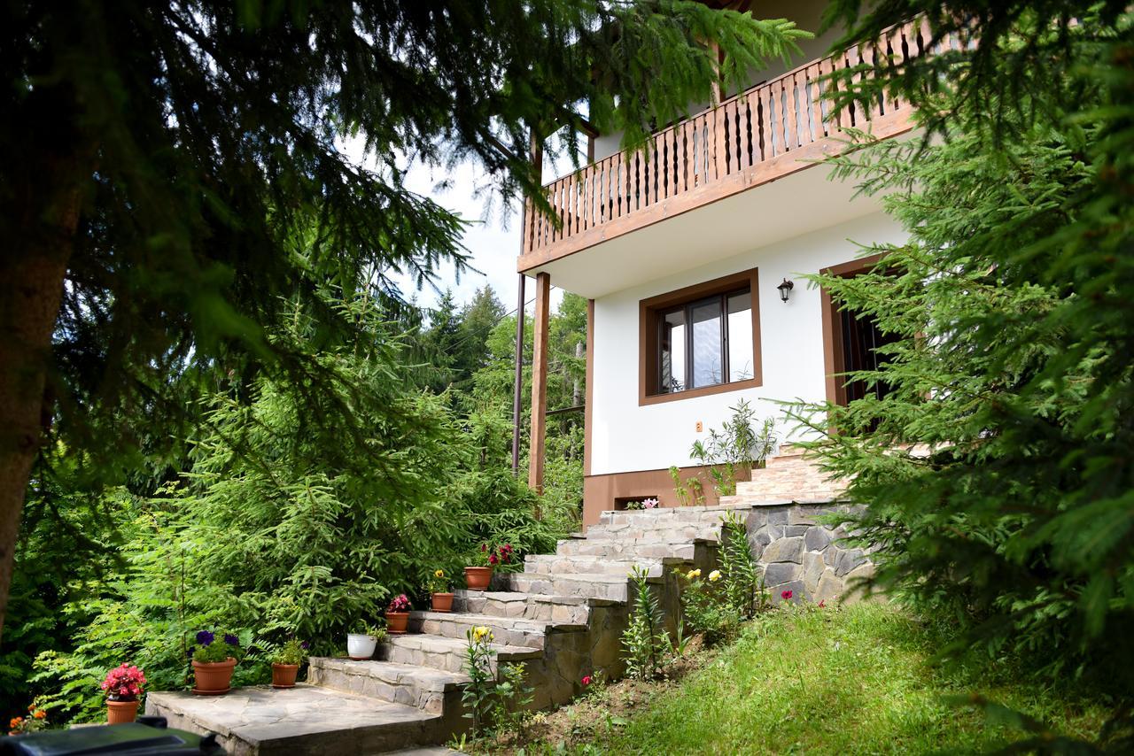 Casa Edy Hotel Colibita Luaran gambar
